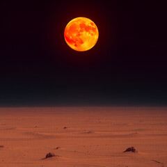 Wall Mural - moon over the sea