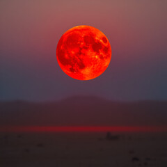 Wall Mural - full moon rising