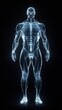 © Mufida's Gallery - Human full body X-ray.  muscular build