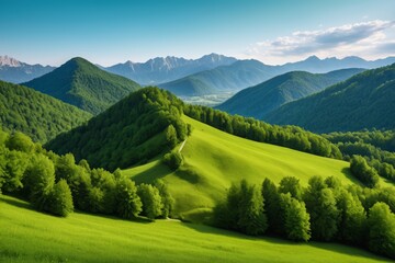 Wall Mural - mountains with green grass and trees in the foreground