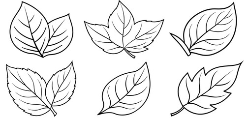 Leaf Outline Coloring Page Printable Line Art Drawing