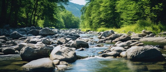 Aufkleber - Serene mountain river landscape with smooth rocks in clear water, bordered by lush green trees and distant hills under a bright blue sky.
