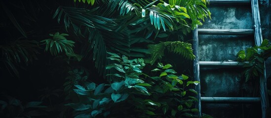 Poster - Lush green tropical foliage with textured leaves in varying shades, alongside a rustic wooden ladder against a dark backdrop.