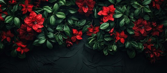 Fototapete - Vibrant red flowers with lush green leaves arranged at the top against a dark background creating a striking contrast and elegant composition.