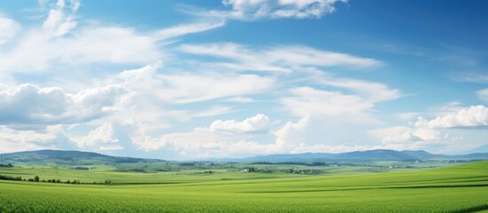 Leinwandbilder - Vast green landscape with rolling hills under a bright blue sky featuring fluffy white clouds, creating a serene and tranquil outdoor scene.