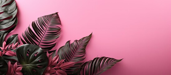 Poster - Tropical leaves in dark green and maroon arranged diagonally on a vibrant pink background creating an elegant copy space for summer designs