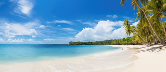 Aufkleber - Tropical beach scene featuring clear blue skies and calm turquoise waters framed by tall palm trees along sandy shoreline in vibrant daylight.