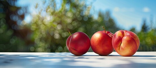 Aufkleber - Fresh ripe nectarines in various shades of red and yellow arranged on a white surface, with a blurred green background of trees and sunlight.