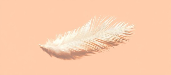 Aufkleber - Minimalist flat lay of a delicate palm frond in soft white on a smooth peach backdrop exuding summer vibes and natural elegance.