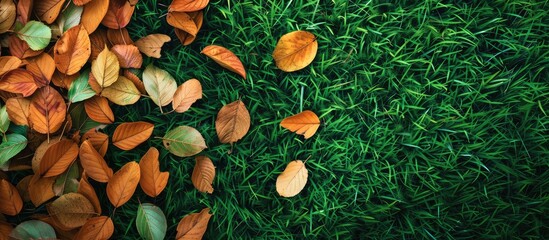Aufkleber - Dry orange and brown leaves scattered on vibrant green grass with ample copy space on the top left for text overlay or branding purposes