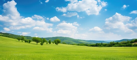 Aufkleber - Vibrant green grassy glade with scattered trees under a bright blue sky filled with fluffy white clouds in tranquil mountain park landscape
