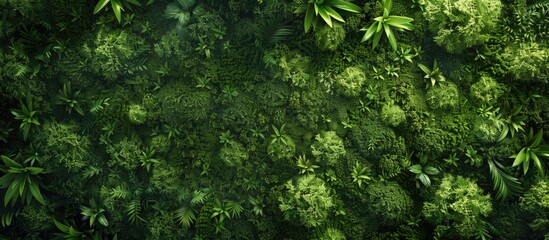 Leinwandbilder - Lush green moss covers a textured surface with varying shades of green creating a natural backdrop and ample copy space in the center