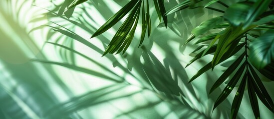 Fototapete - Lush green leaves with soft shadows creating patterns on a light green background, adding a tranquil and natural ambiance to the scene.