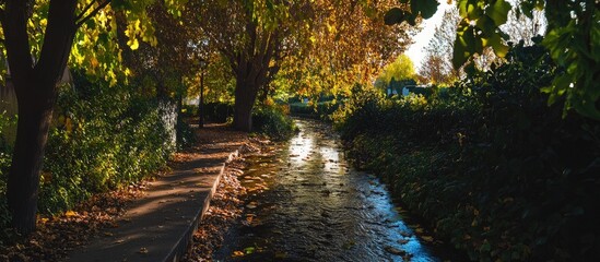 Fototapete - Autumn pathway lined with green foliage and vibrant orange leaves beside a shimmering stream reflecting sunlight in a tranquil forest setting