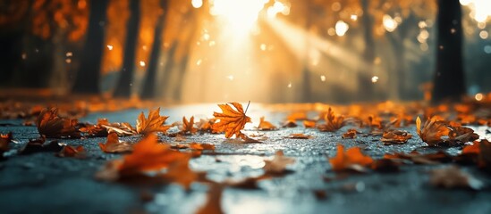 Leinwandbilder - Autumn forest pathway with sun rays shining through orange leaves on ground and tree silhouettes in warm golden hues creating a serene atmosphere