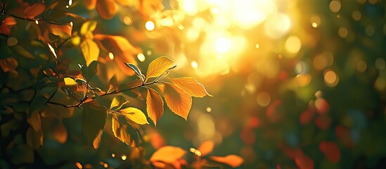 Fototapete - Autumn scene featuring bright orange and yellow leaves in the foreground with soft sunlight illuminating a blurred natural background.