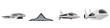 © Naruedetch - Futuristic aerospace vehicles concept showcasing innovative high tech designs and streamlined shapes for advanced air and space travel  Depicting cutting edge