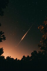 Wall Mural - meteor streaks across starry night sky above silhouetted trees