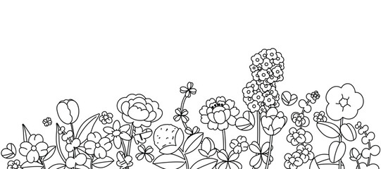 Wall Mural - spring and summer flower pattern seamless background vector. hand drawn botanical floral line art, d