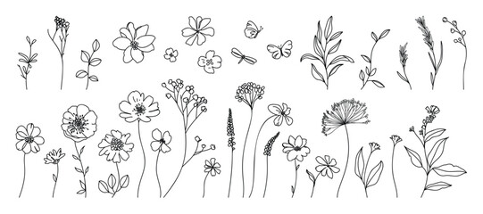 collection of floral and botanical elements. set of leaf, foliage wildflowers, plants, bloom, leaves