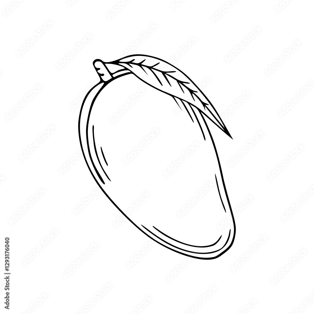 outline drawing of a fresh mango for coloring pages Stock Vector ...