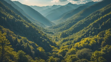 Wall Mural - majestic mountain landscape with sunlight filtering through a tranquil forest valley offering ample 