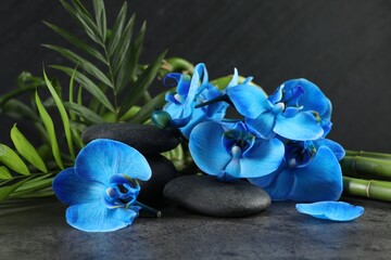 Wall Mural - Beautiful blue orchid flowers, bamboo stems, green leaves and spa stones on grey table