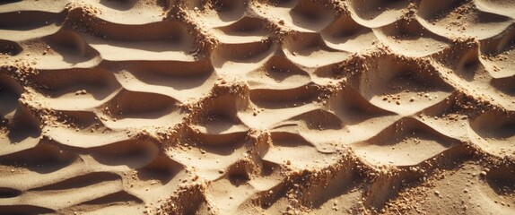 Wall Mural - top view of textured beach sand creating unique patterns in a sunlit summer environment, showcasing 