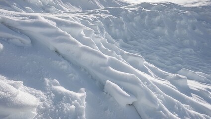 Wall Mural - snow-covered landscape showcasing intricate textures of soft snowdrifts illuminated by natural light