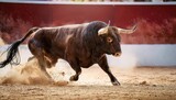 Bull Fighting in Spanish Arena Passionate Moment Captured as Matador and Bull Collide Under the Red Sun at Dusk, Evoking Intense Emotions and Dramatic Contrast.