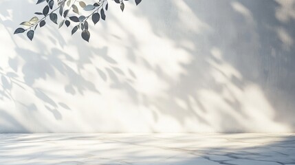 A simple, light background with soft leaf shadows on a pale wall and marble floor. Perfect for presentations.
