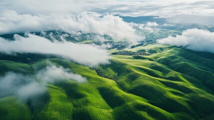 Wall Mural - Lush green hills and valleys with rolling clouds in a serene landscape, aerial view. Natural beauty and tranquility concept