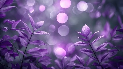 Wall Mural - purple foliage background with soft focus leaves and glowing bokeh lights creating an abstract desig