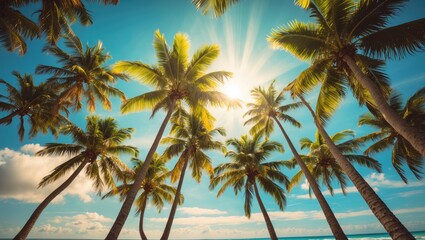 Wall Mural - Tropical palm trees reaching towards a sunny sky with sun rays illuminating a serene beach landscape during summer.