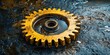 © SweetCommercial - Yellow gear is sitting in a puddle of water