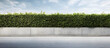 © Daniel - A long concrete wall with a hedge on top, next to a cement sidewalk and an asphalt street, creates a background suitable for a copy space image.