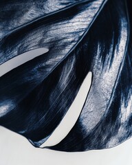 Wall Mural - a mesmerizing dark leaf with striking textures and cut-out patterns. this artistic nature close-up h