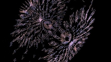 Wall Mural - mandala animation circles rgb colors .