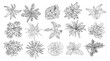 © Creative_Juice_Art - Set of different house plants top view. Cactus, aloe, monstera, palms black line art icons for landscape, architectural, interior design. Hand drawn Vector sketch isolated on transparent background.