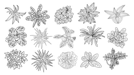 Set of different house plants top view. Cactus, aloe, monstera, palms black line art icons for landscape, architectural, interior design. Hand drawn Vector sketch isolated on transparent background.