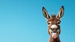 © 69 - Happy brown donkey making a funny face with tongue out against a clear blue sky, playful animal portrait, vibrant and cheerful expression, joyful mood