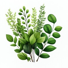 Wall Mural - Various Green Leaves and Foliage for Natural and Organic Backgrounds in Arts and Crafts Projects