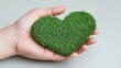 © PJ Gallery - Heart-Shaped Grass in Hand: Eco-Friendly Concept