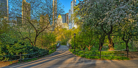 Wall Mural - Central Park in spring. morning in sunny day