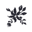 © akini - Black and white minimal rustic inky flower silhouette. Monochrome sketchy textured loose floral doodle. Hand drawn bold color botanical element