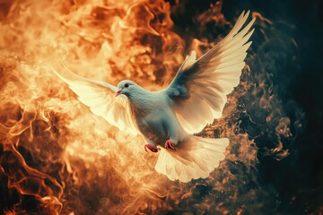 Wall Mural - White Dove Flying Over Flames