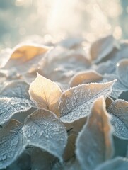 Wall Mural - Frosty Leaves Close Up