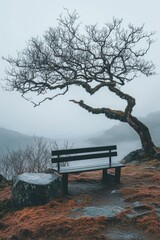 Canvas Print - Hillside Bench with Tree