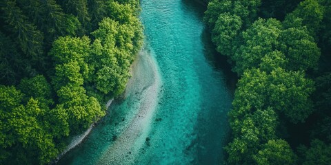 Canvas Print - Lush Green Forest with River