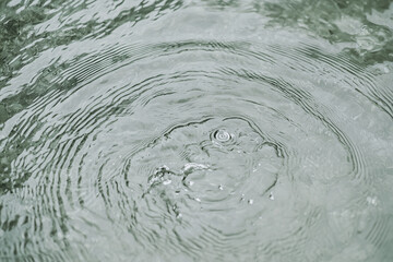 Poster - Ripples on water surface create soothing pattern during rainy day